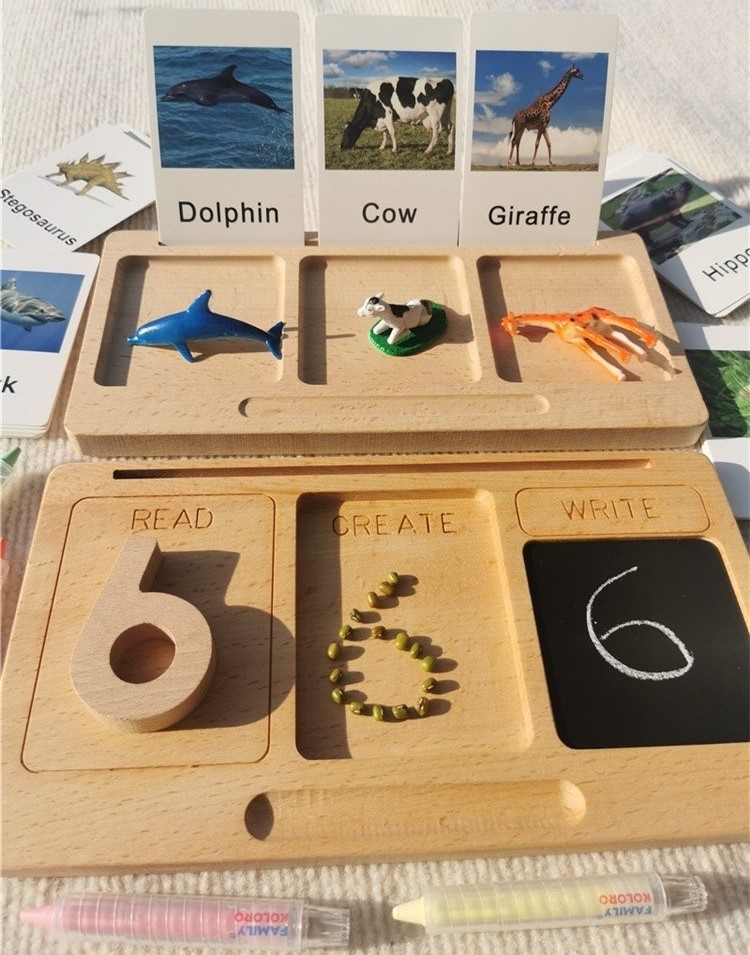 Montessori Shelf Toy - تابلت تعليمي مع طباشير ، ألعاب